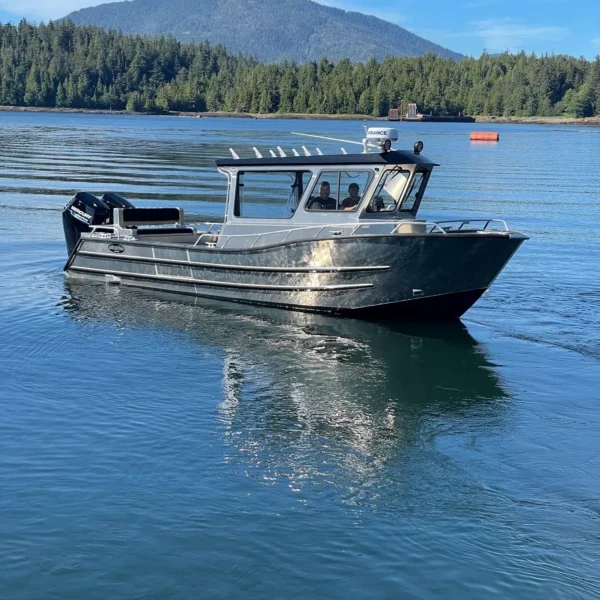 BRIDGEVIEW 30′ WALK AROUND