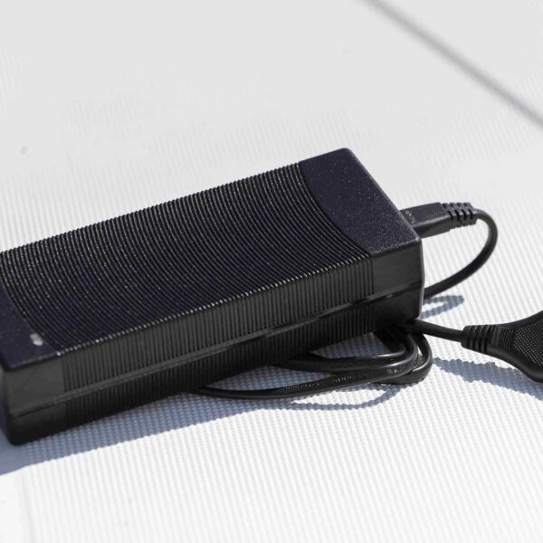 TEMO 450 220V Charger