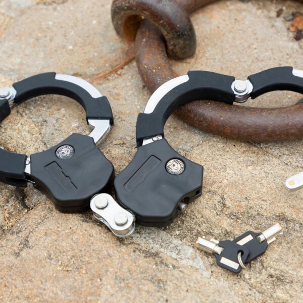 TEMO 450 Anti Theft Security System