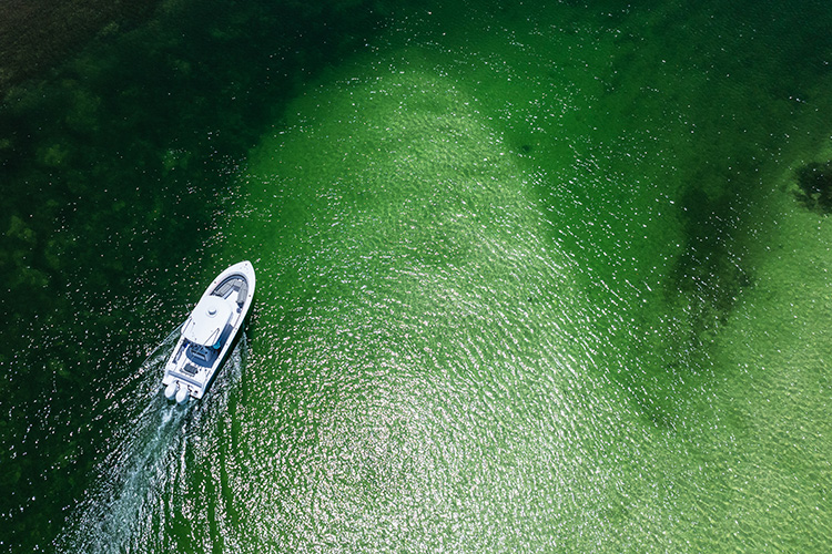 Boats for first time buyers